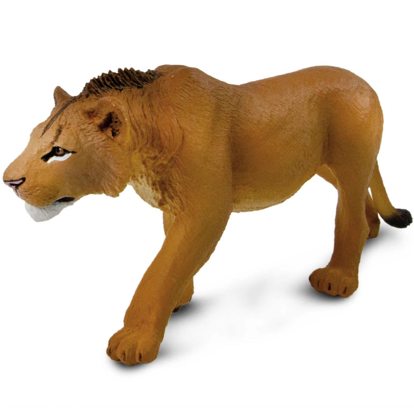 Safari Ltd - Ung lejonhane