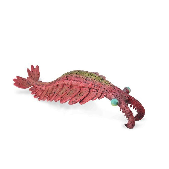 CollectA - Anomalocaris