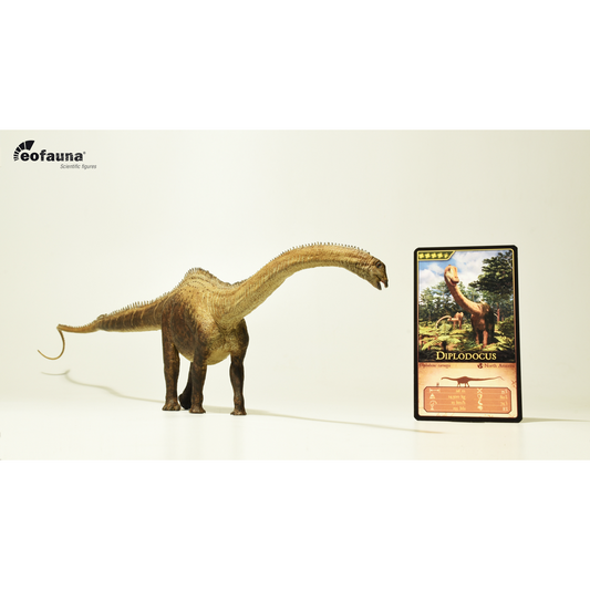 Eofauna - Diplodocus (D. carnegii)